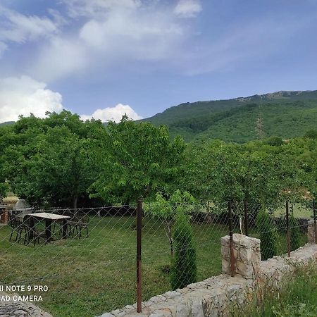 Aleks Villa Ohrid Ngoại thất bức ảnh