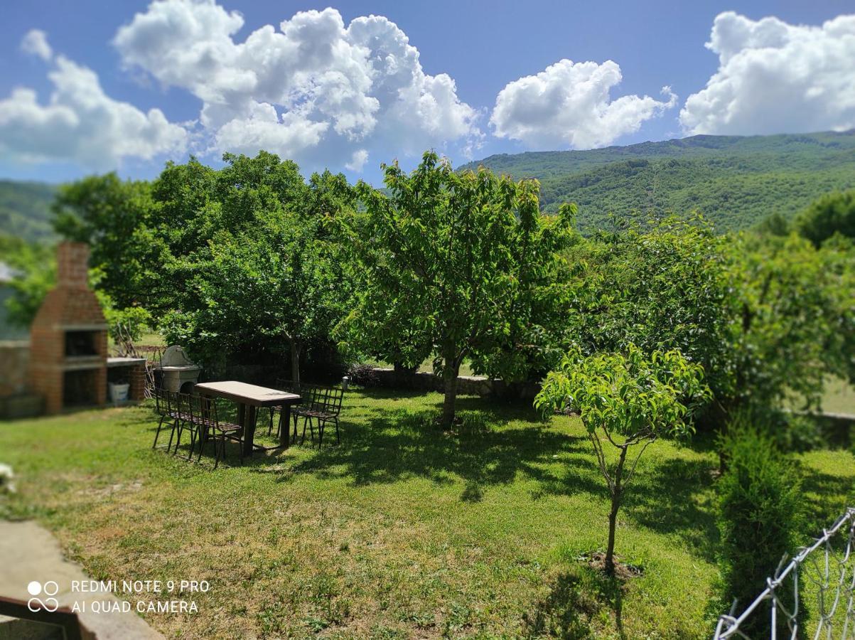 Aleks Villa Ohrid Ngoại thất bức ảnh