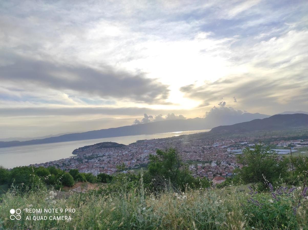 Aleks Villa Ohrid Ngoại thất bức ảnh